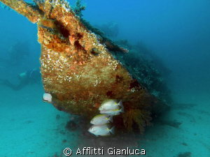 underwater.......sailors... by Afflitti Gianluca 